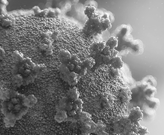 CORONAVIRUS Y DERECHOS HUMANOS: PREPARANDO LA RESPUESTA DE WITNESS